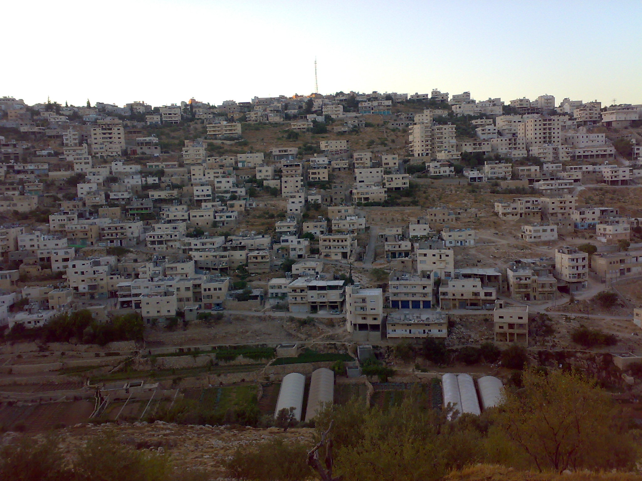 قرية أرطــاس