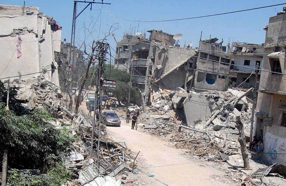 أبو مدللة: نحتاج إحصائيات دقيقة حول الخسائر التي لحقت بالحياة في غزة